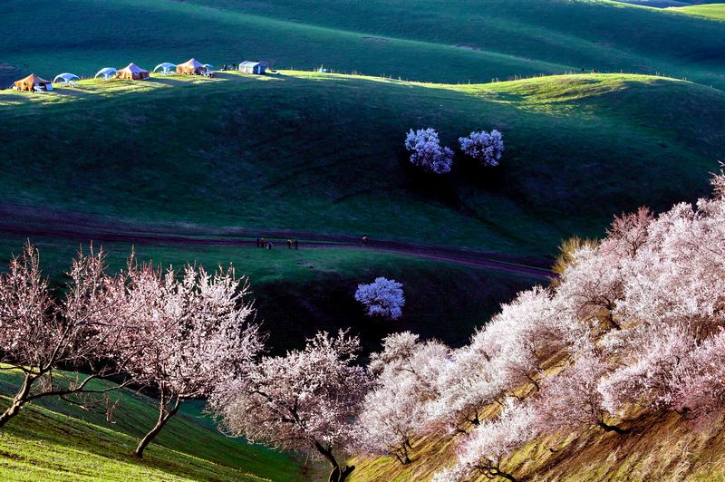 012A6672 ����.jpg