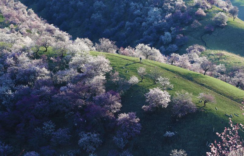 012A6727 ����.jpg