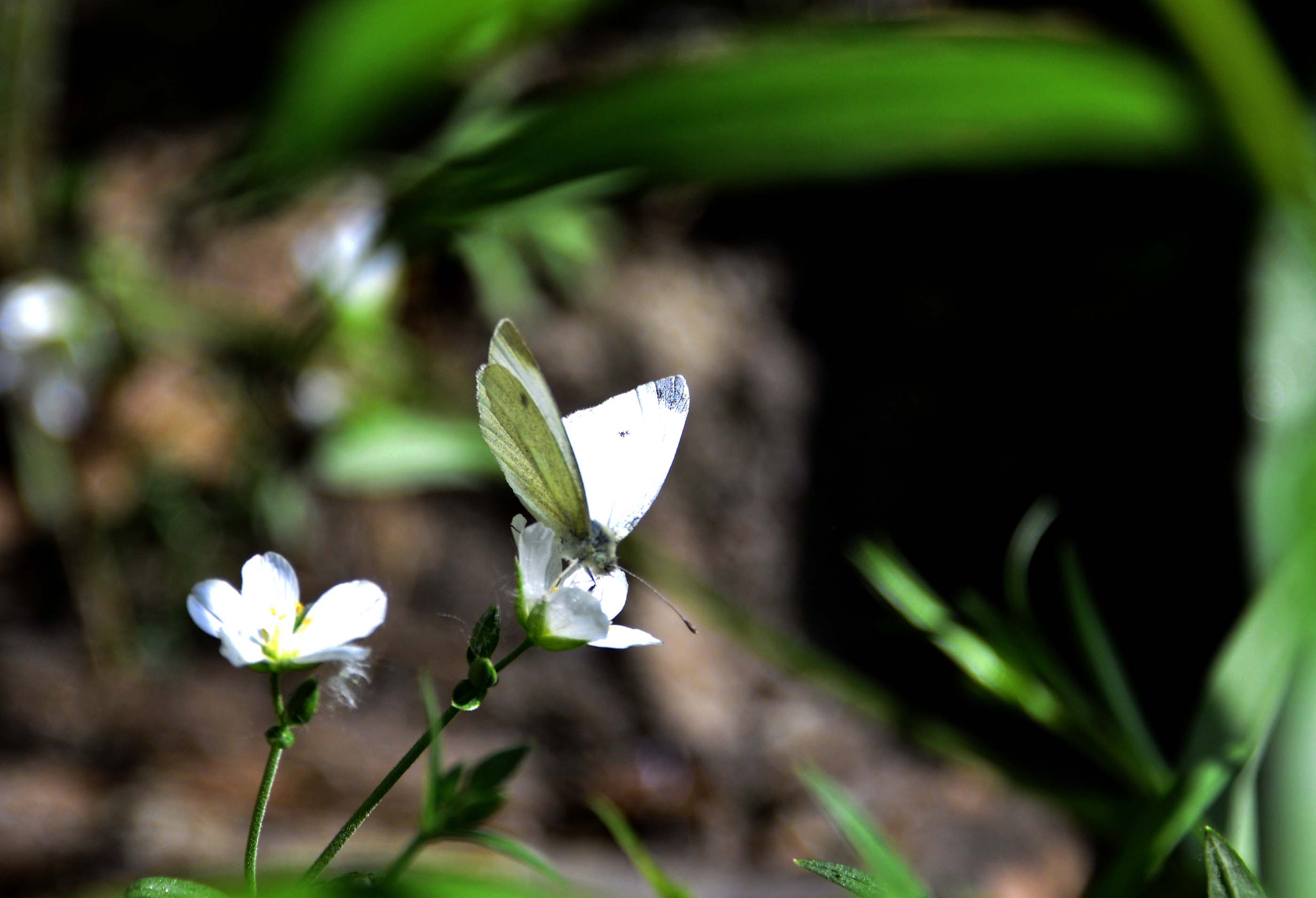 _����������԰һ����DSC9546 (261)����.jpg