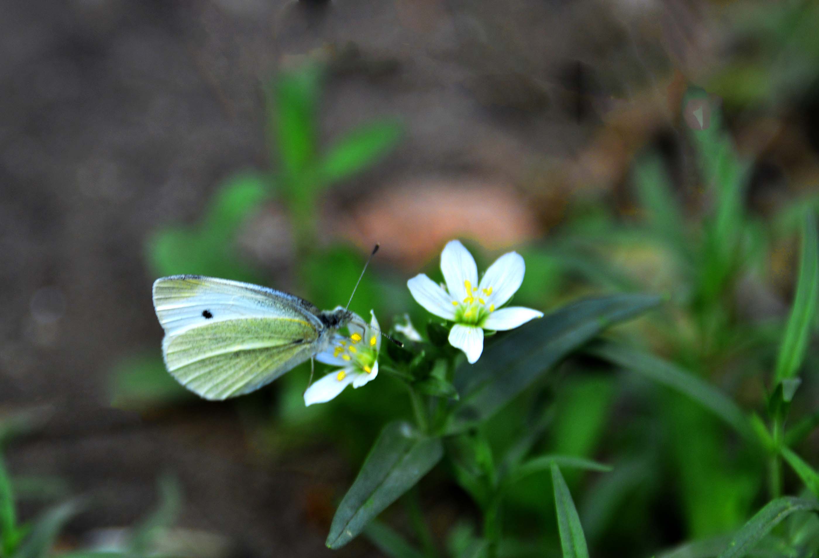 _����������԰һ����DSC9546 (264)����.jpg