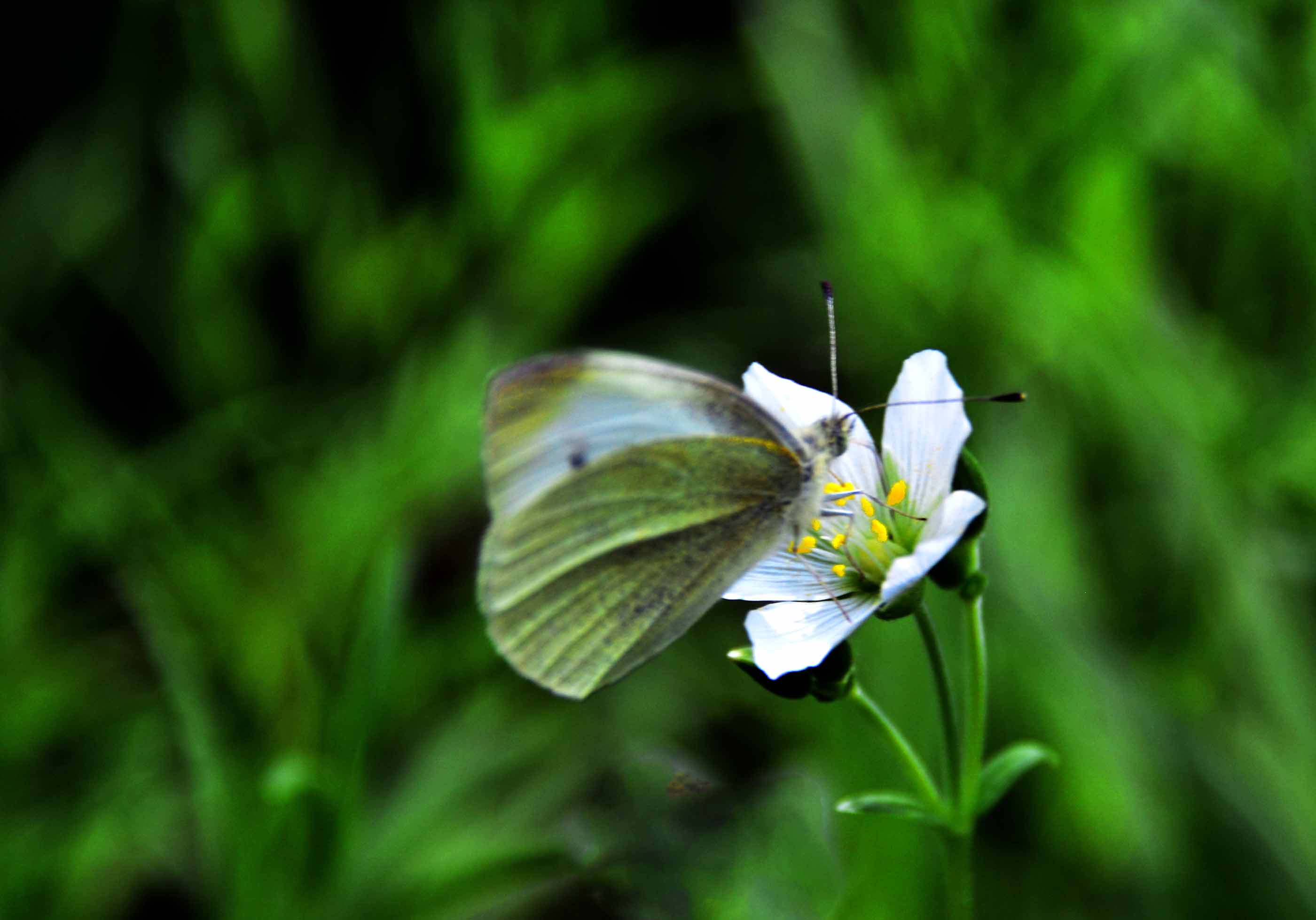 _����������԰һ����DSC9546 (266)����.jpg