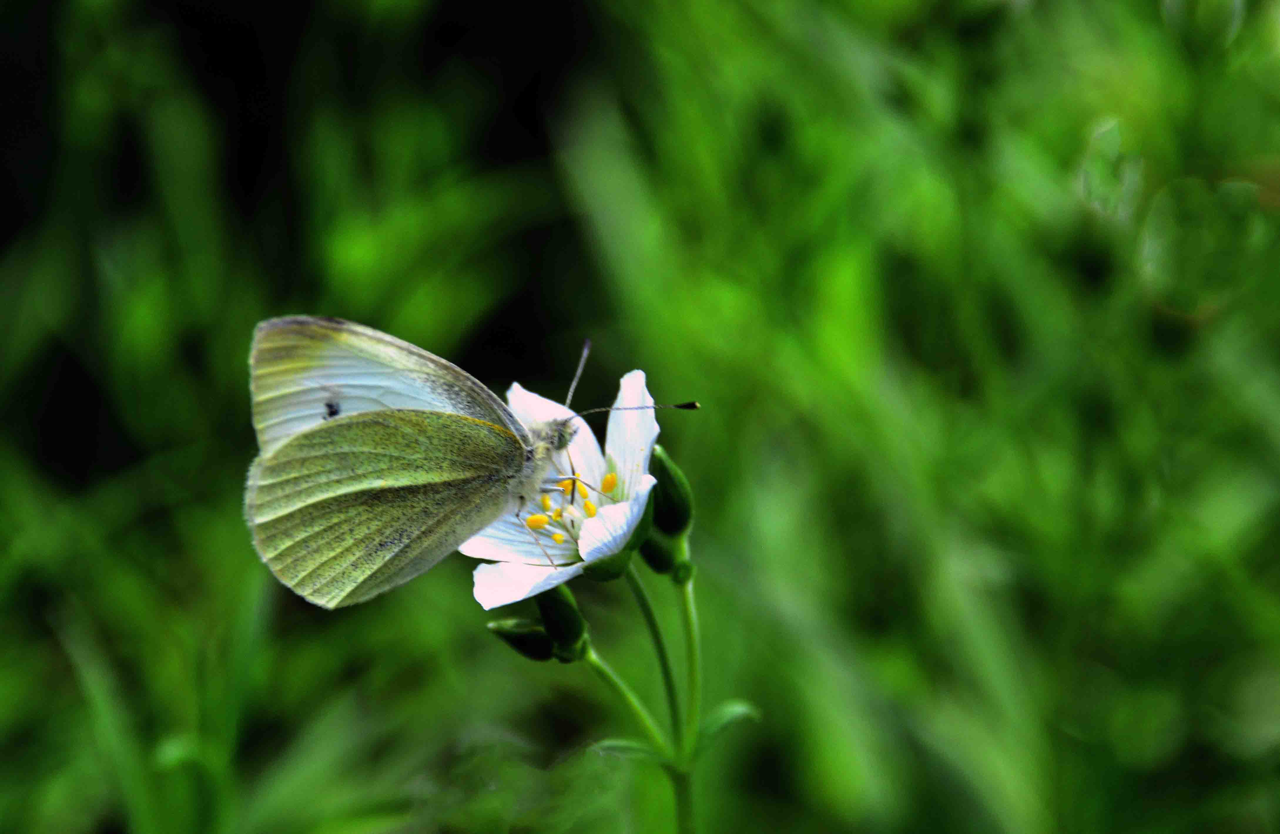 _����������԰һ����DSC9546 (265)����.jpg