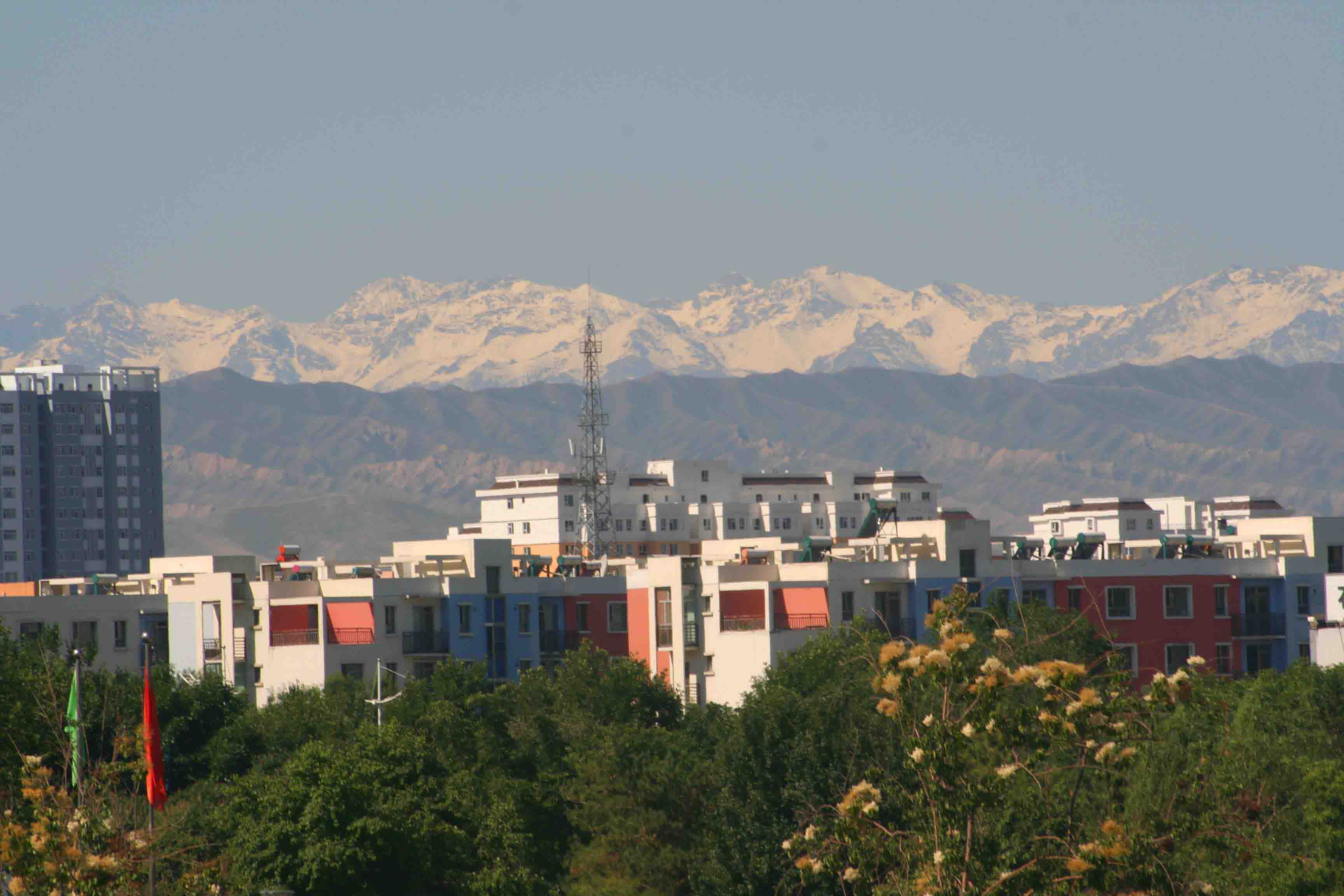 IMG_9450 ����.jpg