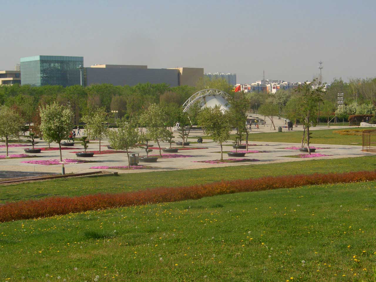 CIMG4374 ����.jpg