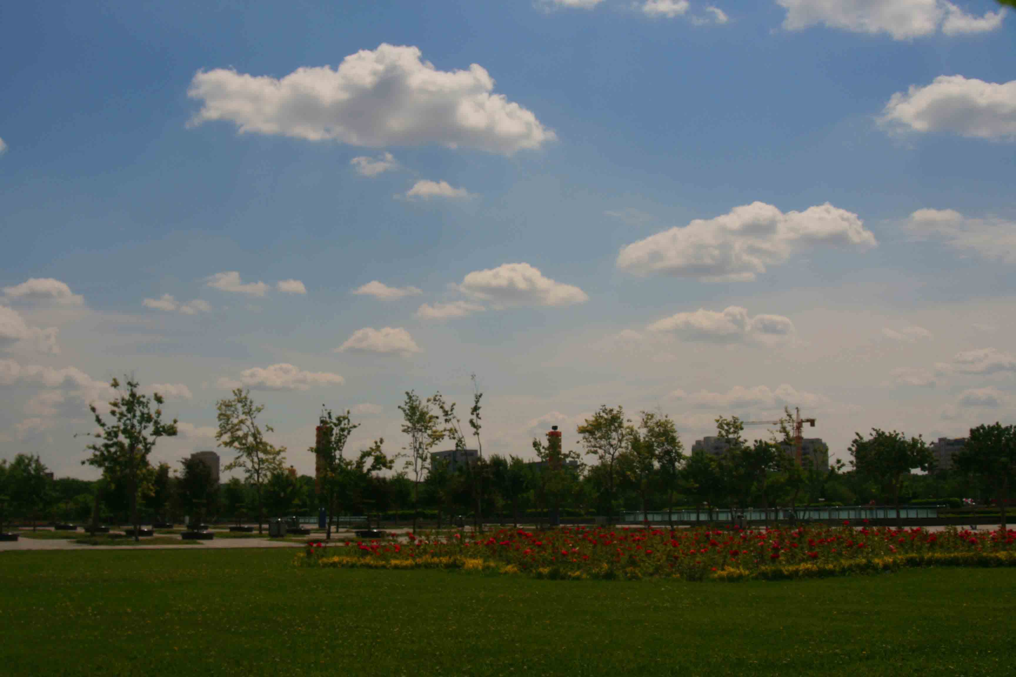 IMG_94170 ����.jpg