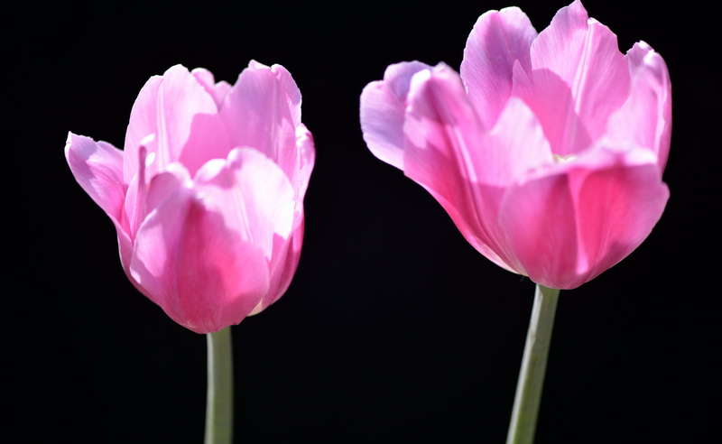 �������  ������