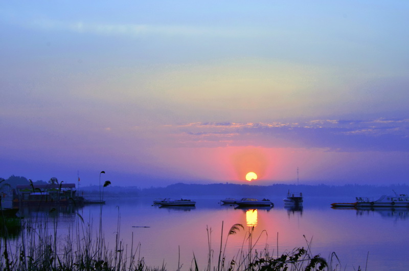 ������   ������