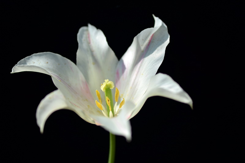 ��   ������