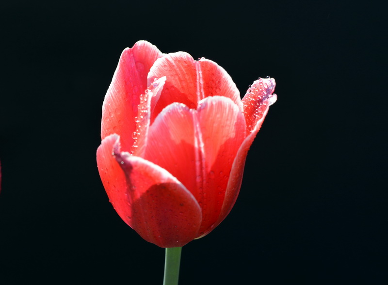 һ����   ������