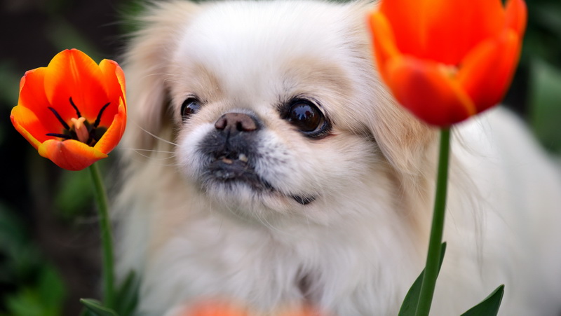 ��Ҳ����   ������