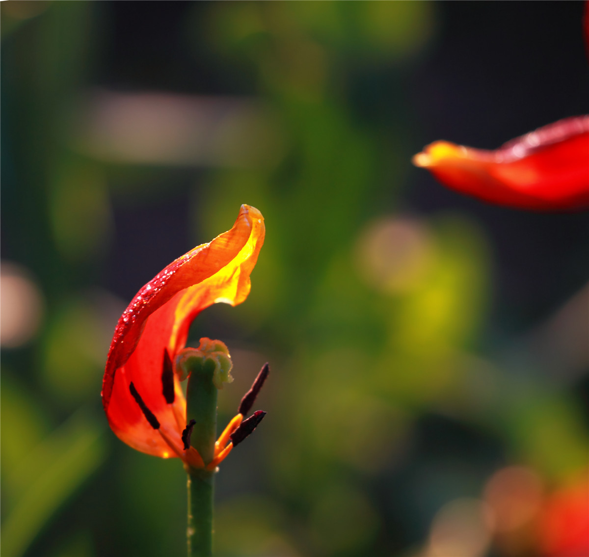 ������ (5).jpg