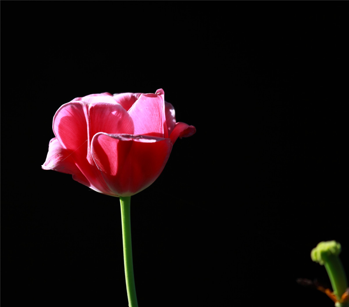 ������ (11).jpg