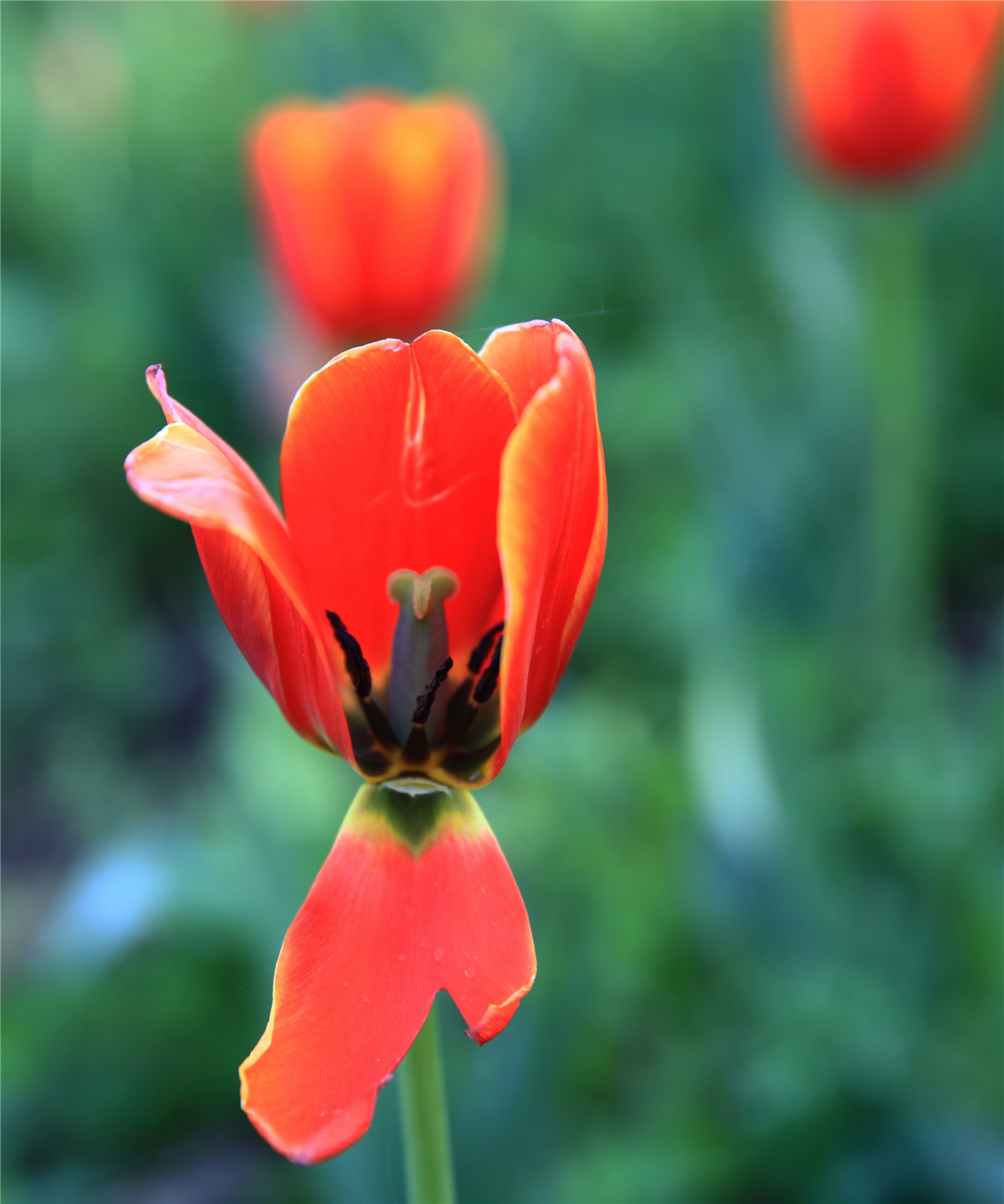 ������ (6).jpg