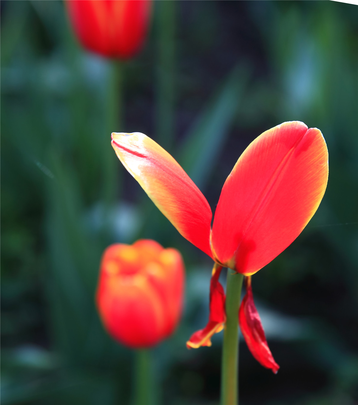 ������ (7).jpg