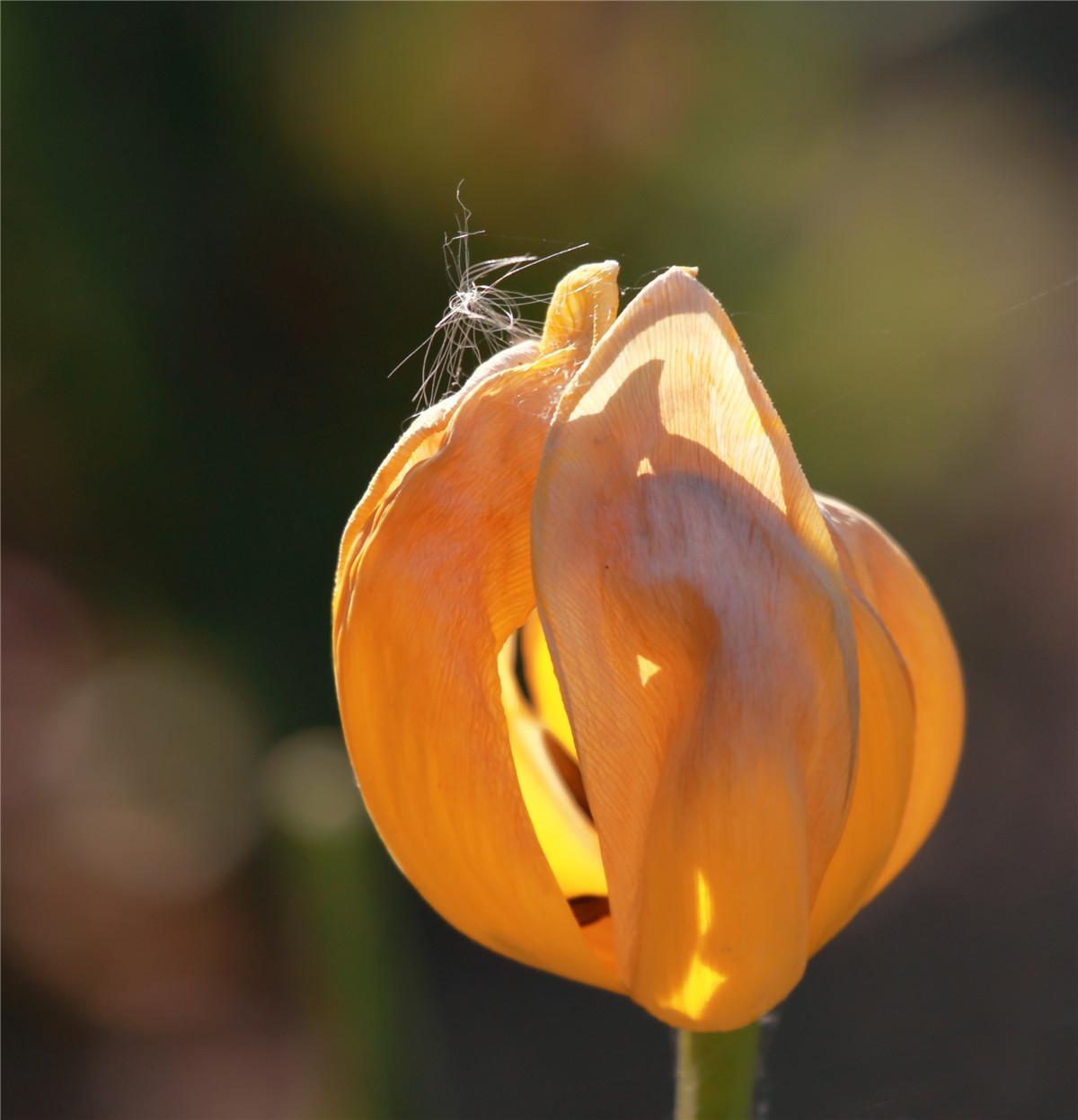 ������ (8).jpg