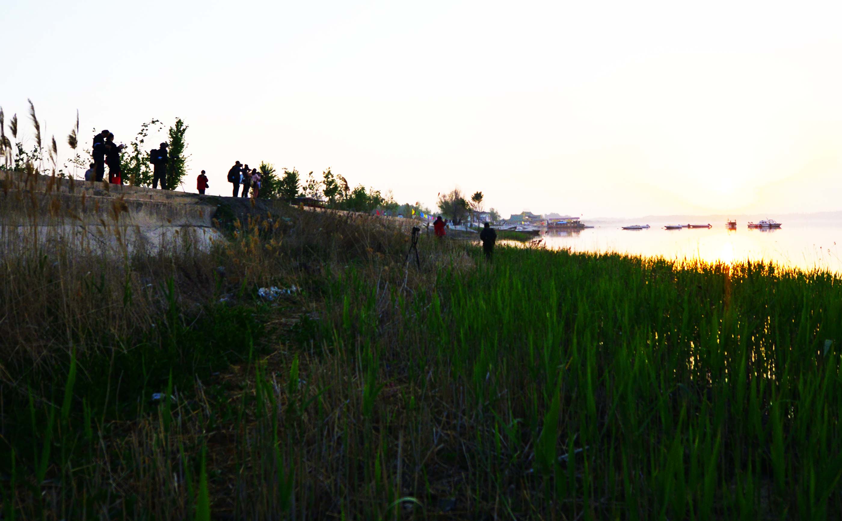 _����������԰һ����DSC9546 (7).jpg