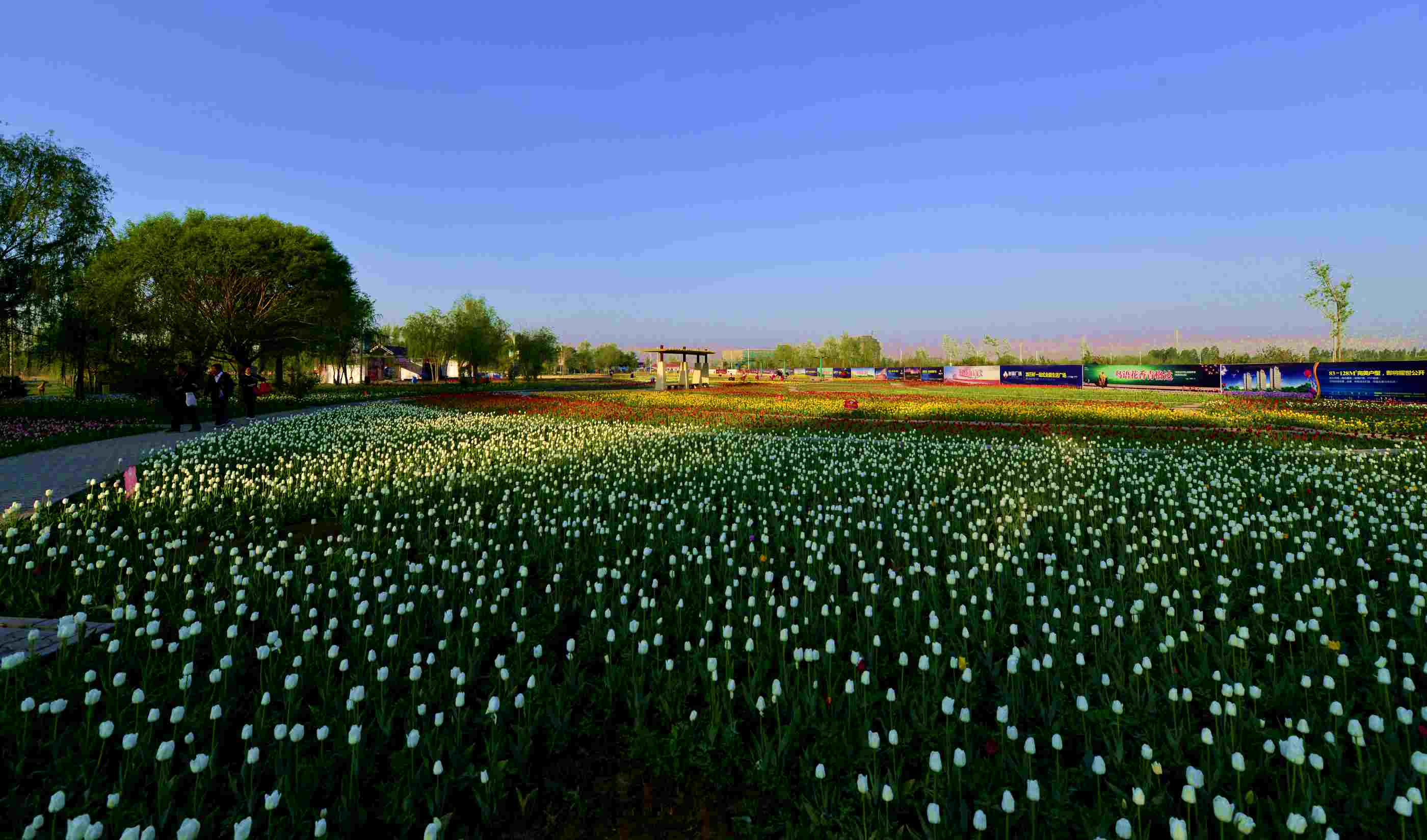 _����������԰һ����DSC9546 (83).JPG