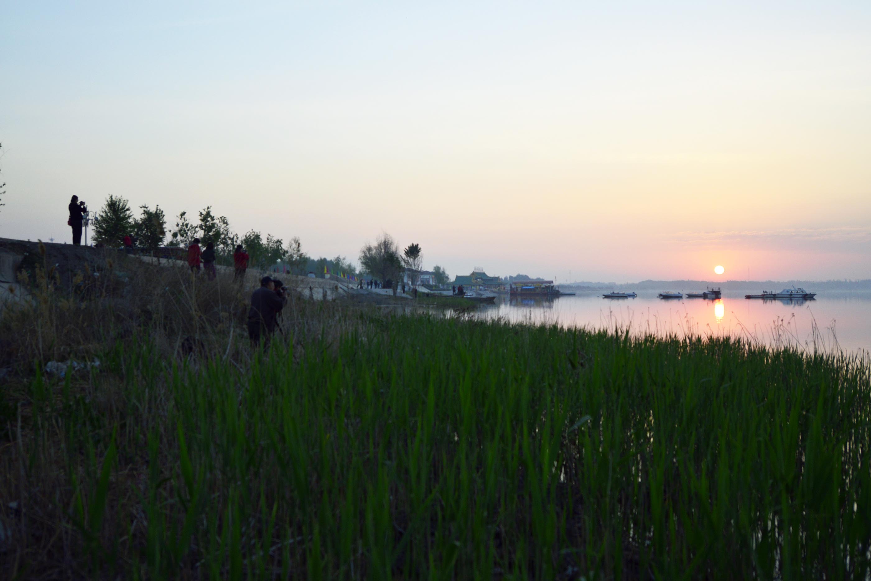 _����������԰һ����DSC9546 (4).jpg