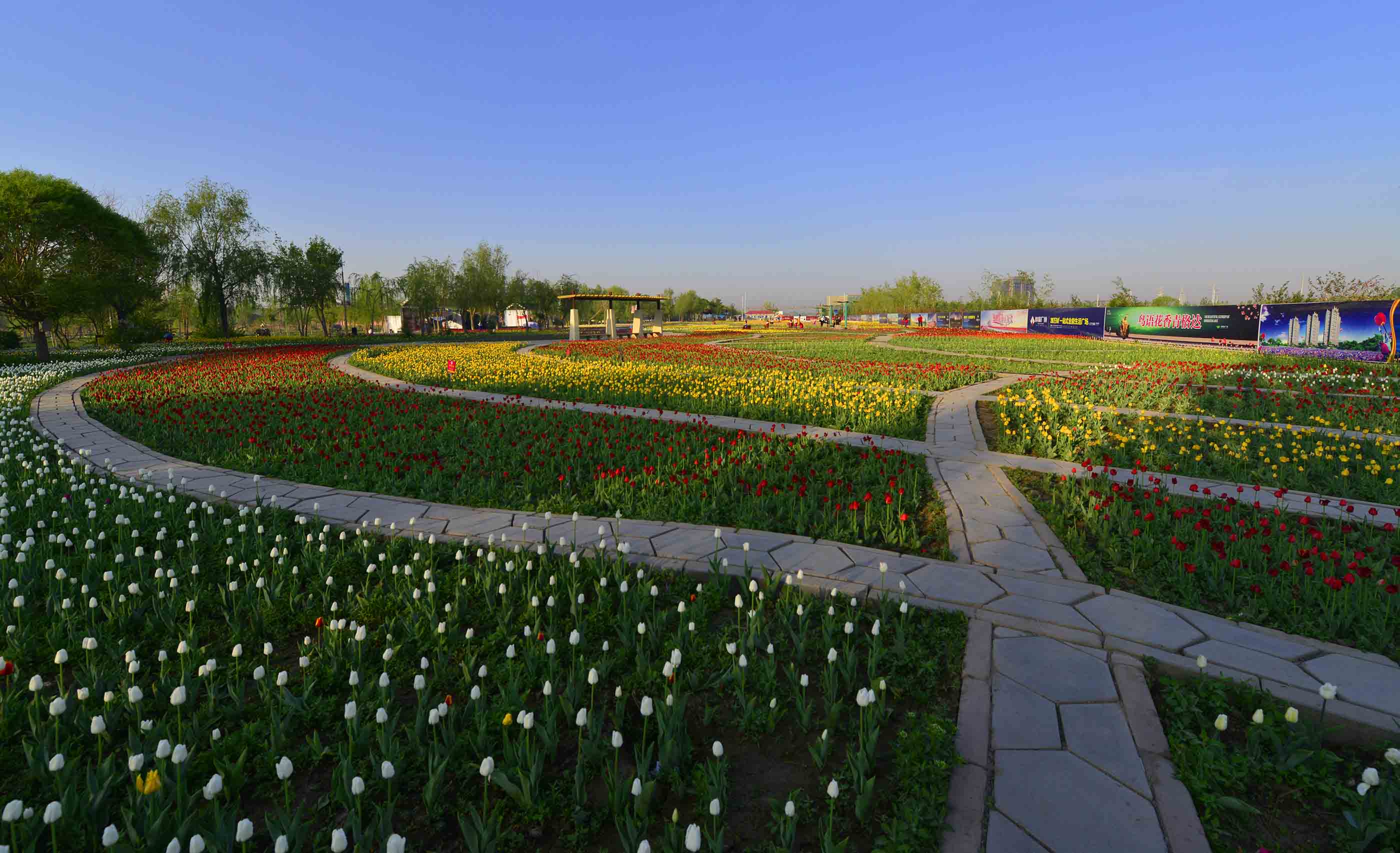 _����������԰һ����DSC9546 (86).jpg