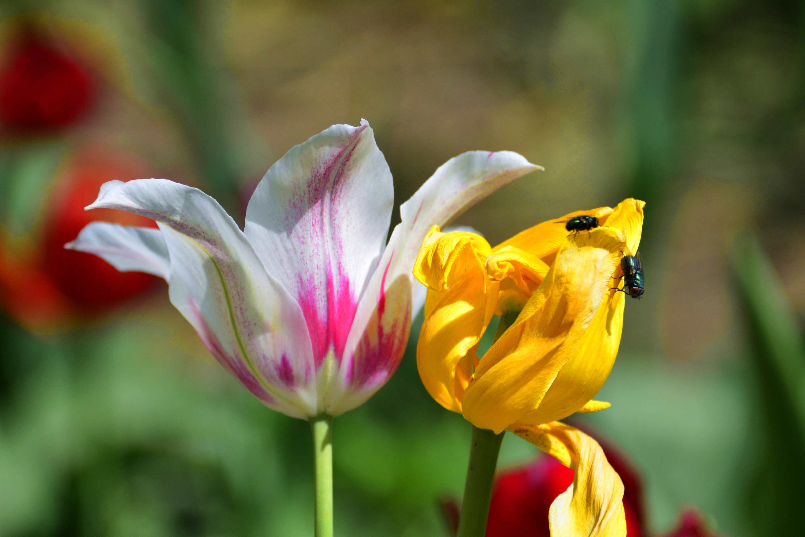 _����������԰һ����DSC9546 (272).jpg