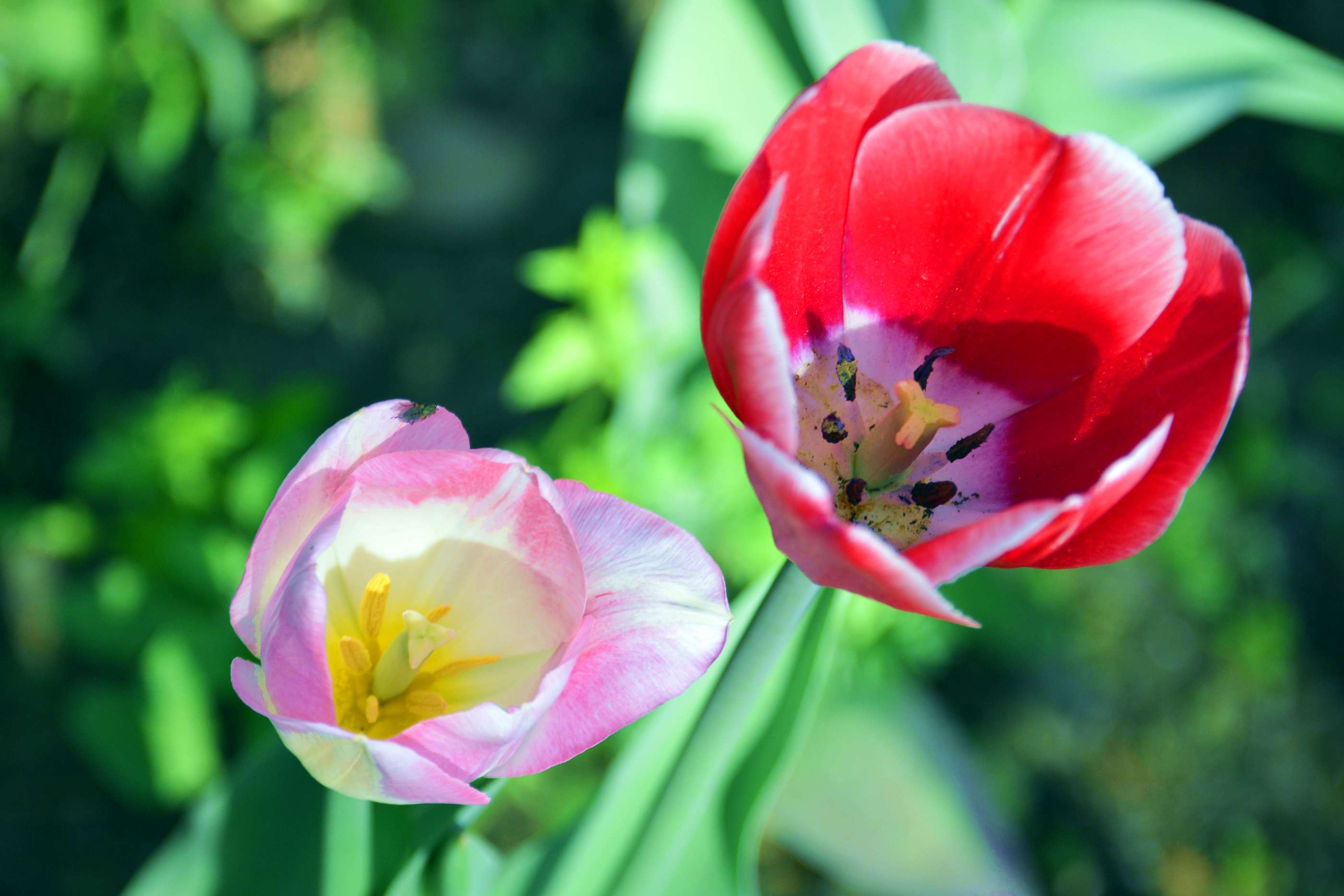 _����������԰һ����DSC9546 (196).jpg