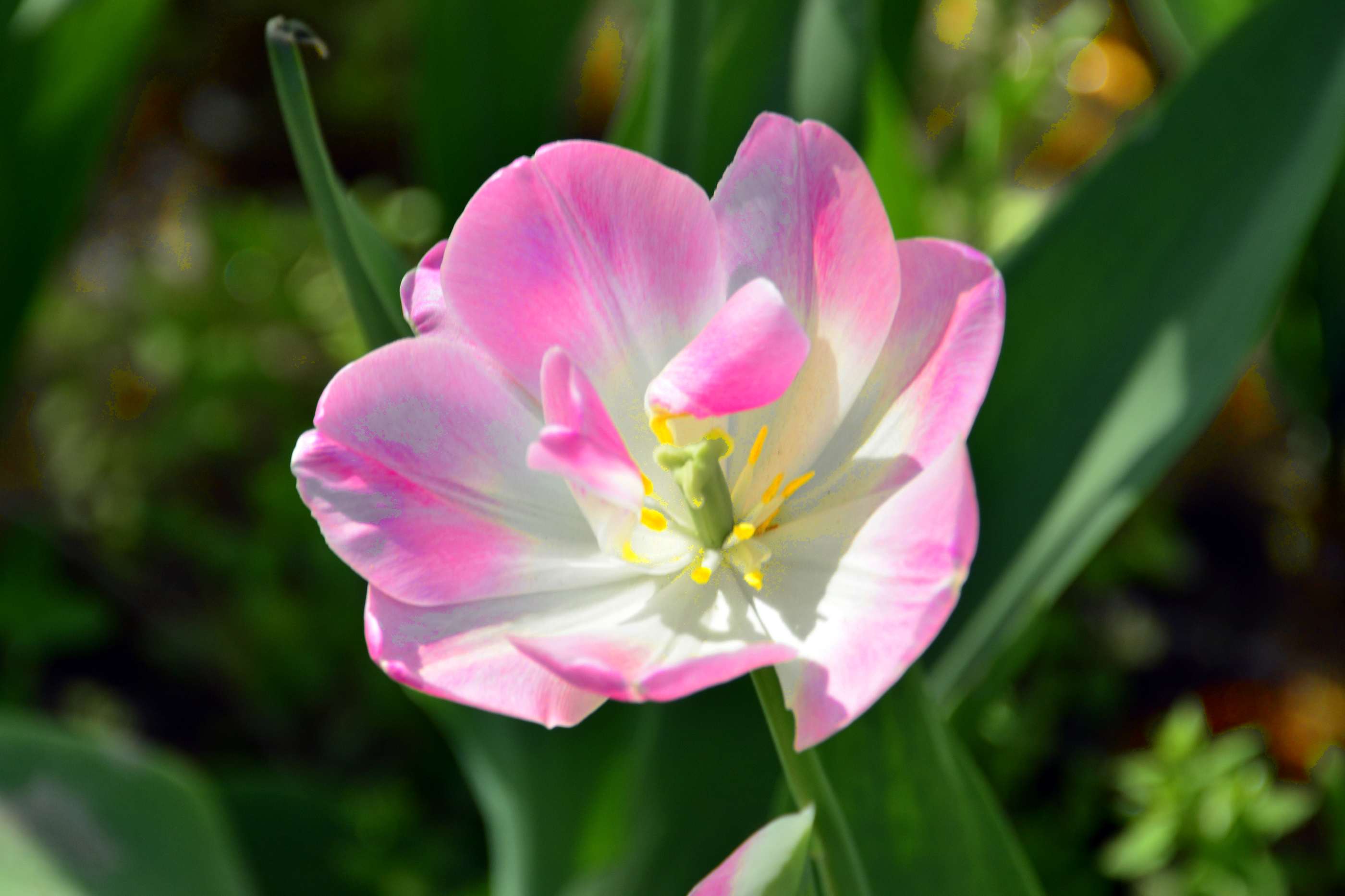 _����������԰һ����DSC9546 (191).jpg