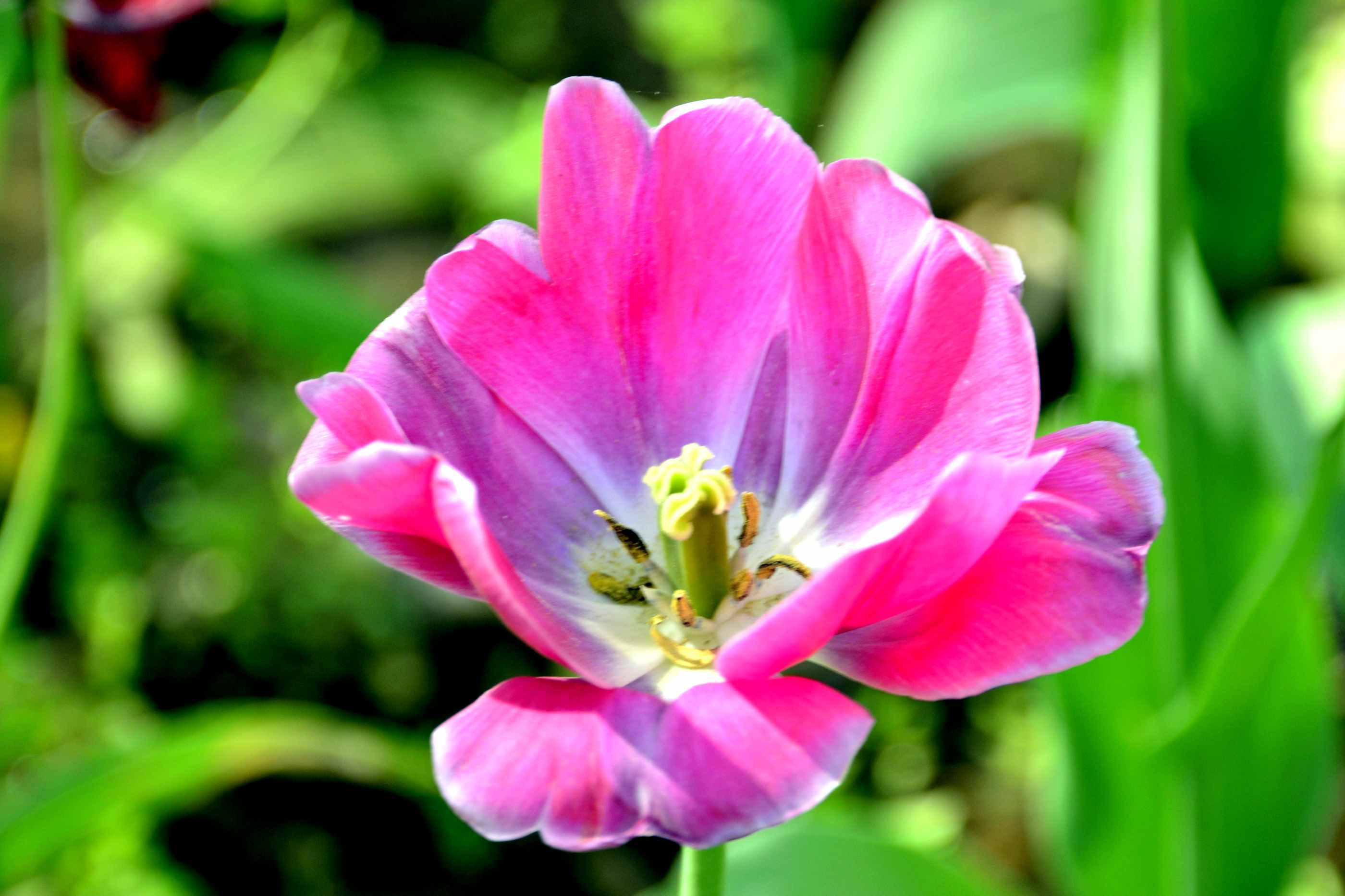 _����������԰һ����DSC9546 (190).jpg