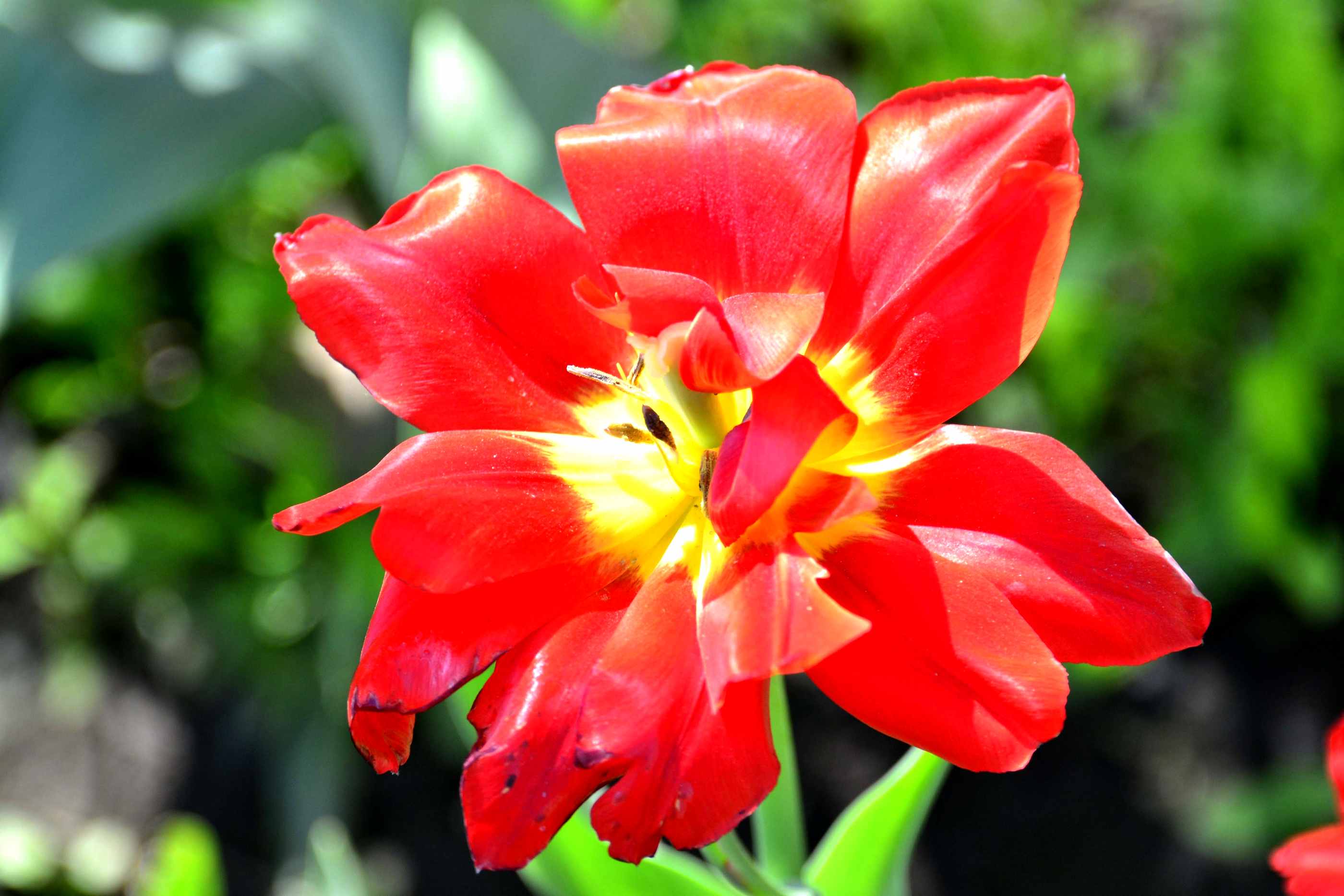 _����������԰һ����DSC9546 (152).jpg