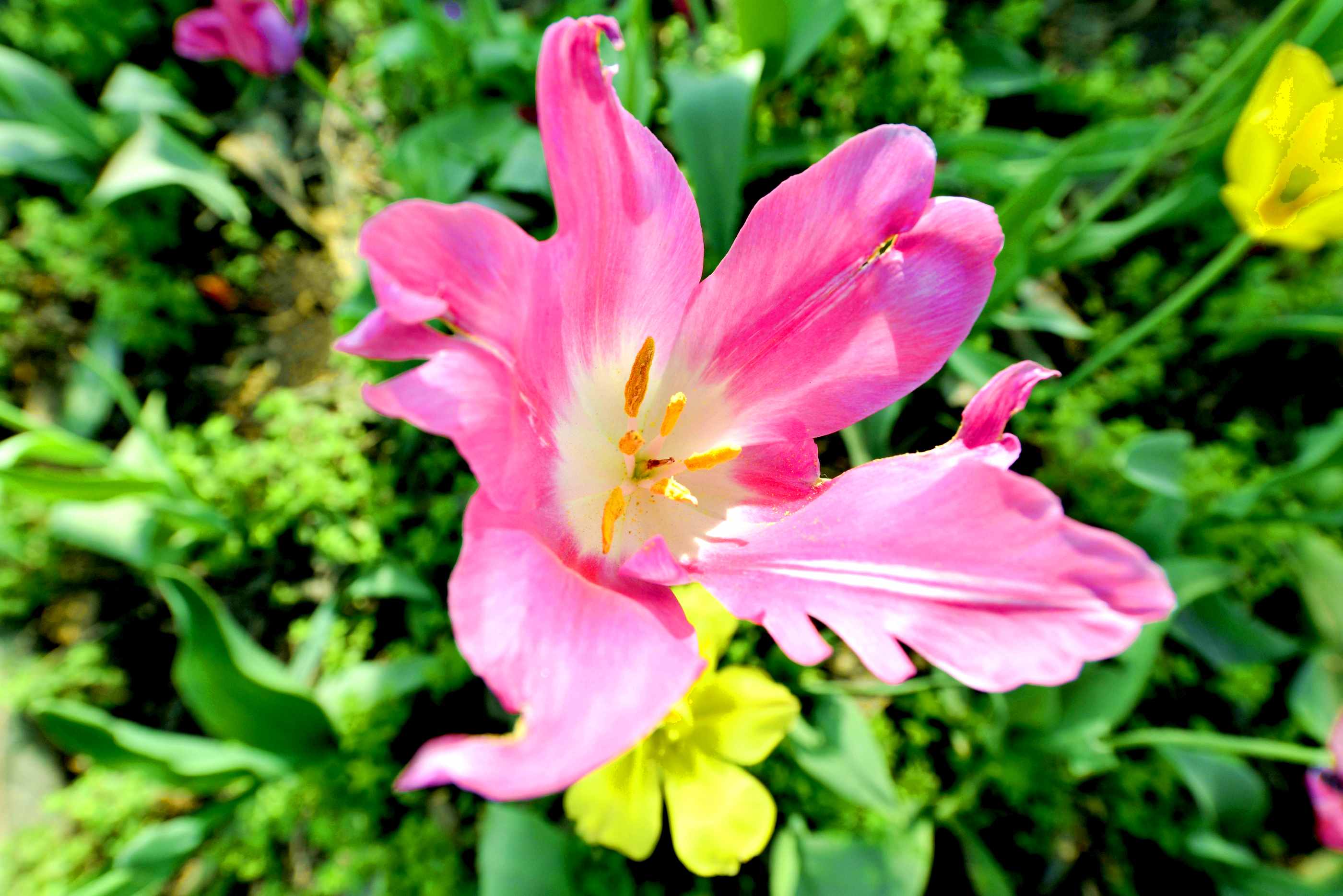 _����������԰һ����DSC9546 (103).jpg