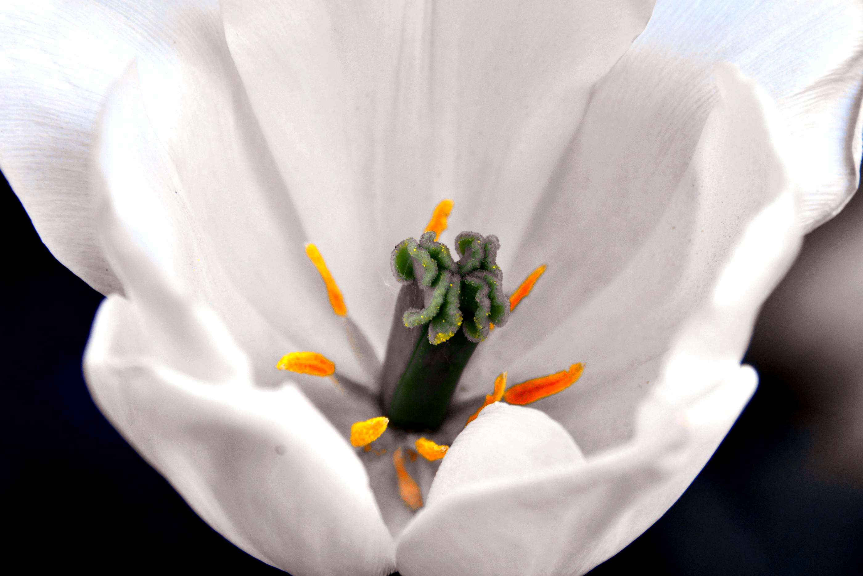 _����������԰һ����DSC9546 (198).jpg