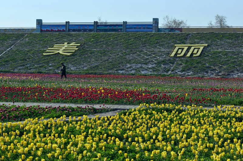 ����������  ������