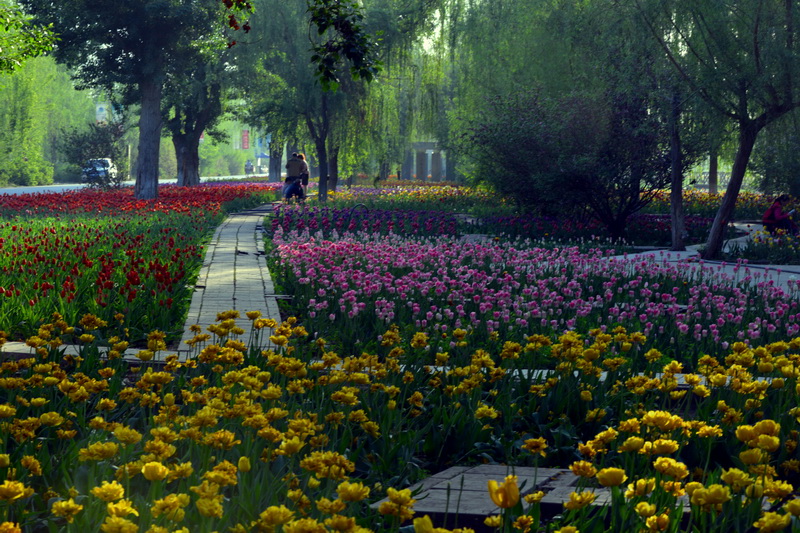 ��   ������