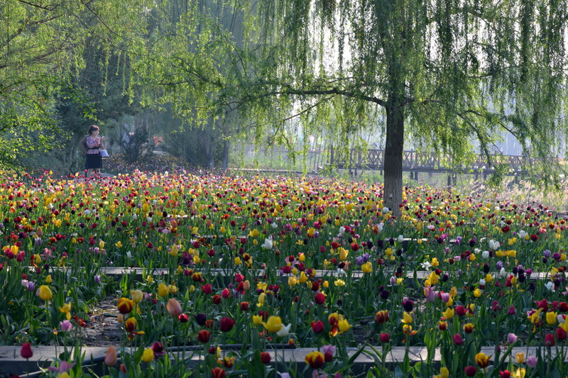 ��   ������