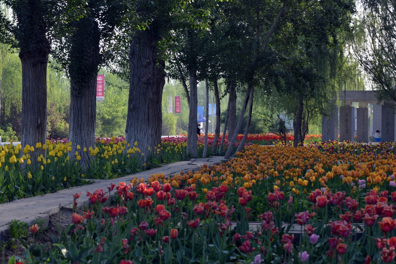 ����   ������