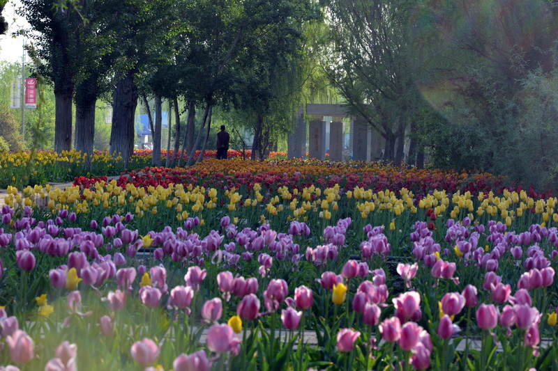 ��    �����Ȼ��