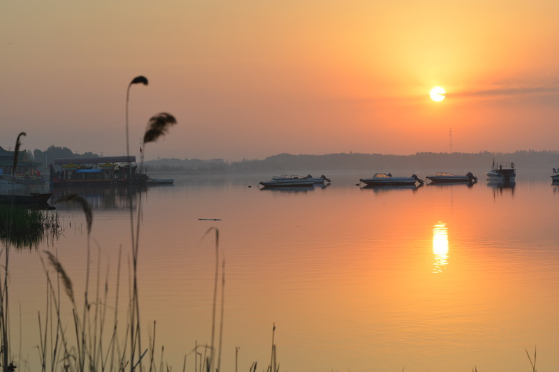 �����⿴   ������