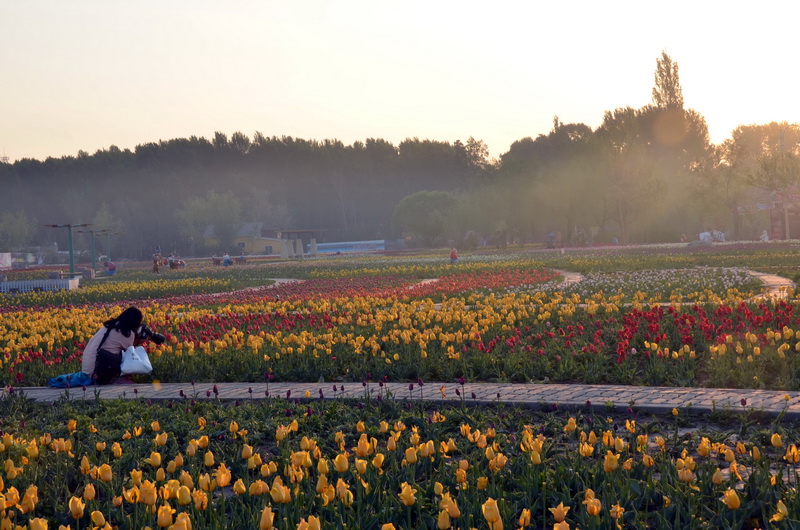 רע    ������
