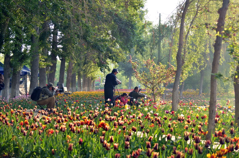 Ӱ������  ������