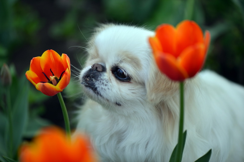 ������   ������