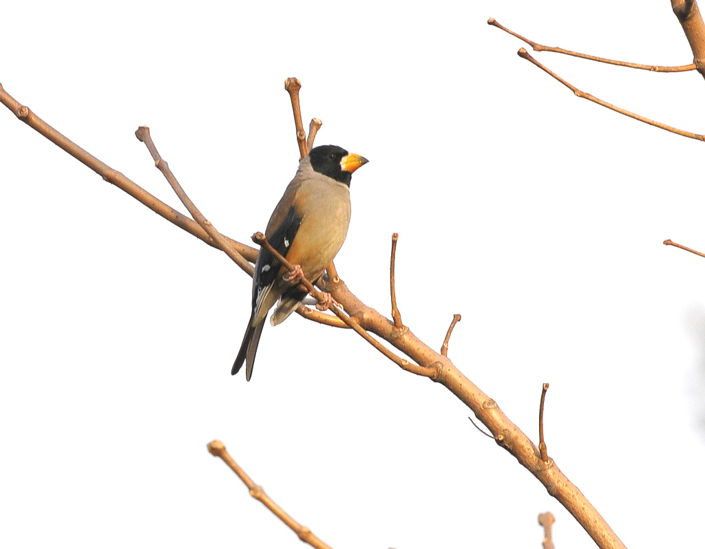 4����_0875  4.jpg