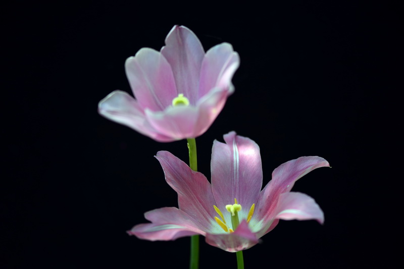 ����   ������