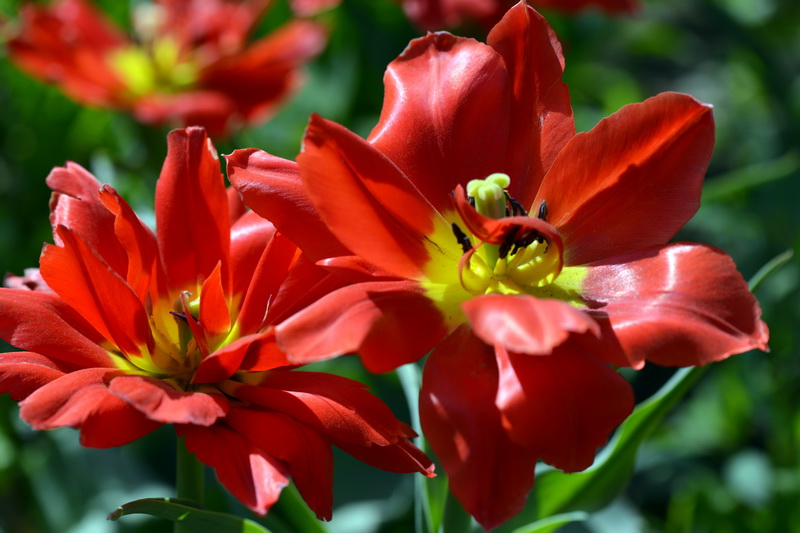 ����   ������