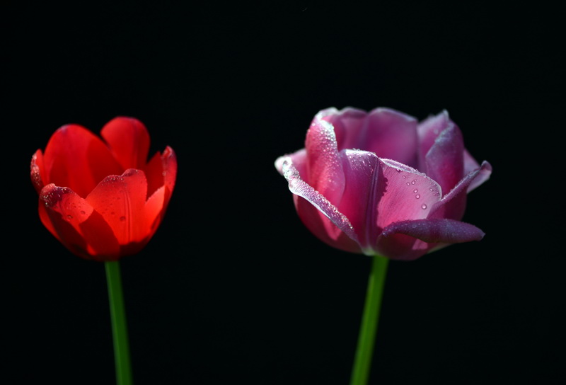 ����   ������