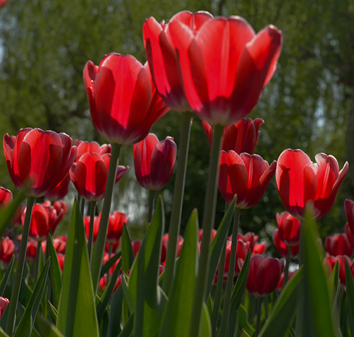 ����������������