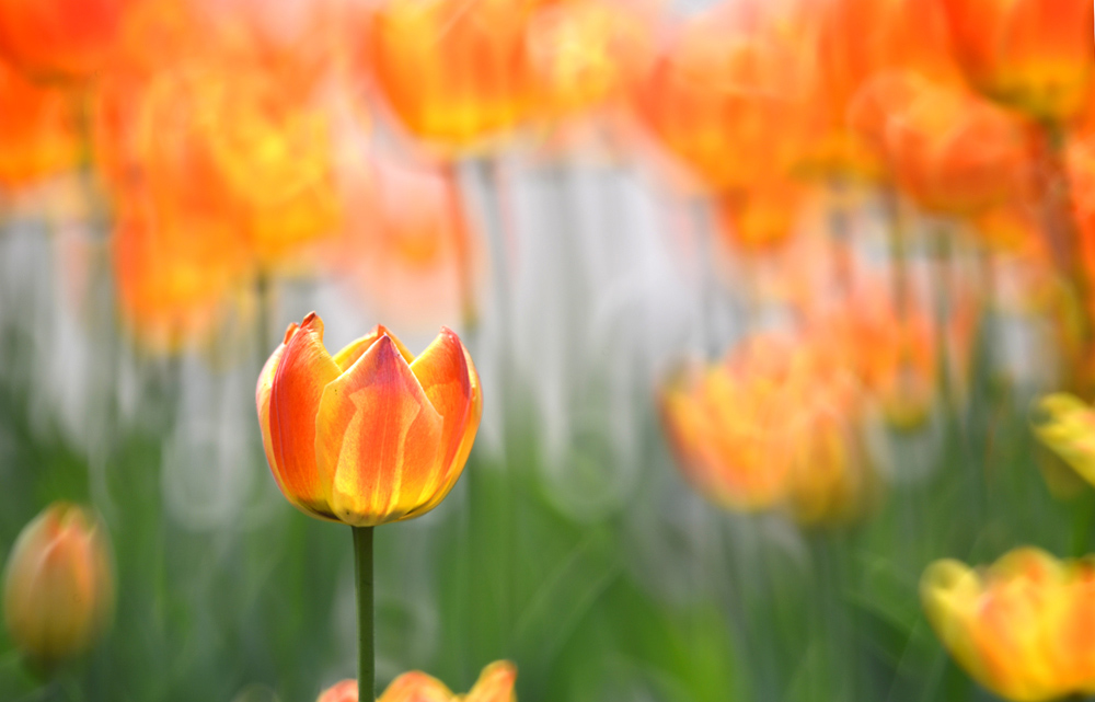 DSC_1443 ����.jpg