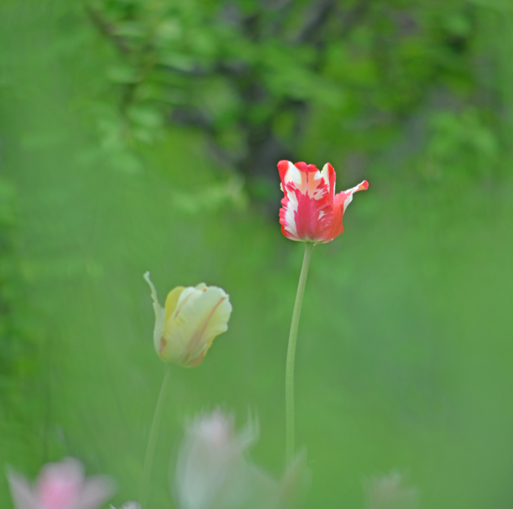 DSC_1538 ����.jpg