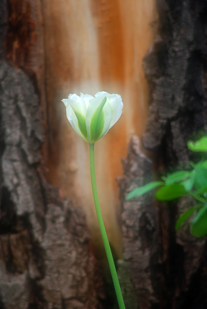 DSC_1813 ����.jpg