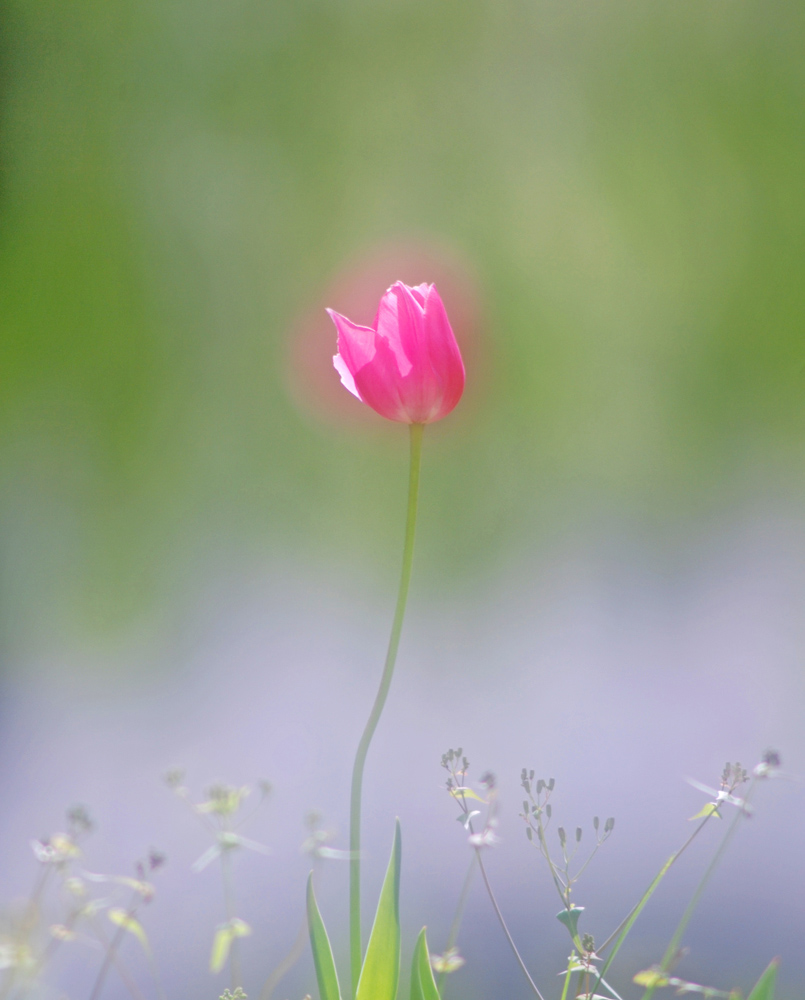 DSC_1836 ����.jpg