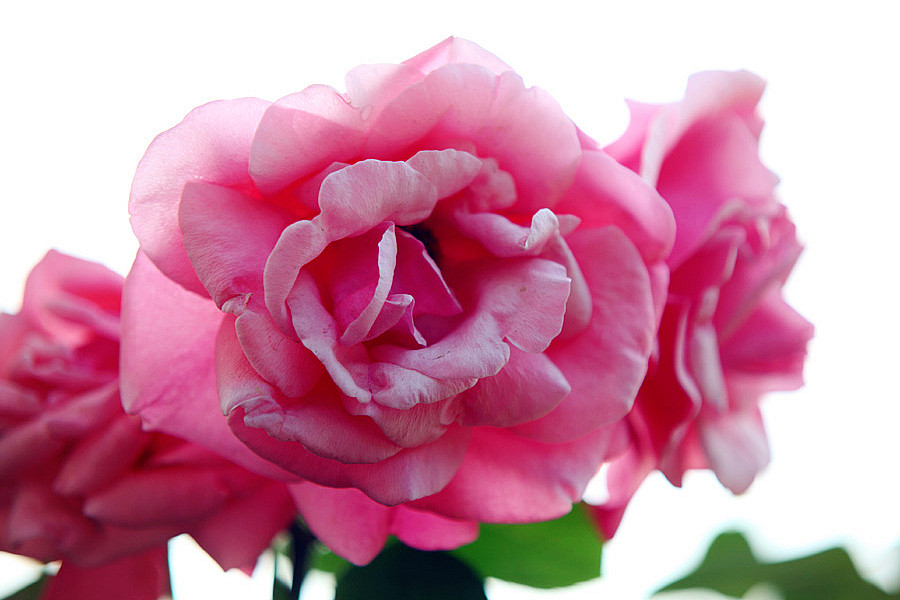 ��Ƭ 274_����.jpg