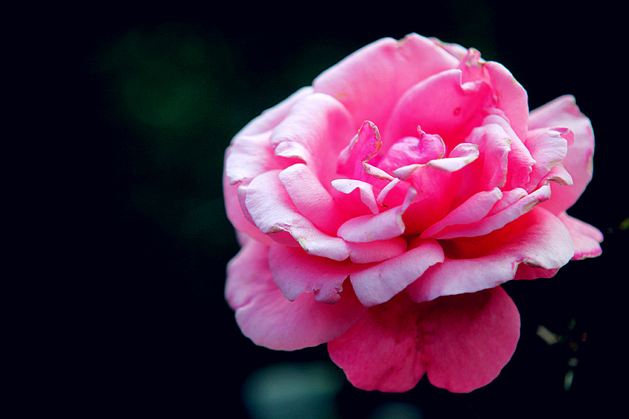 ��Ƭ 259_����.jpg